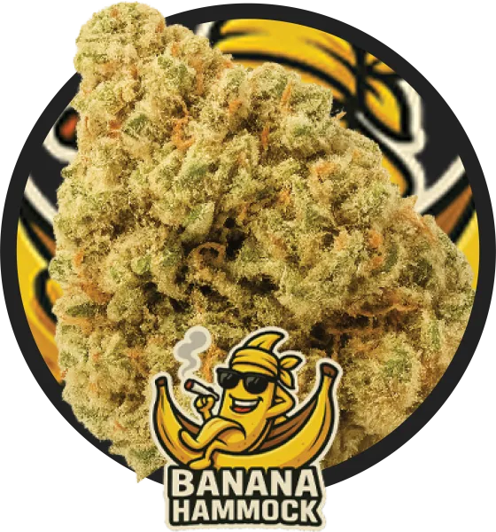 Banana Hammock artwork