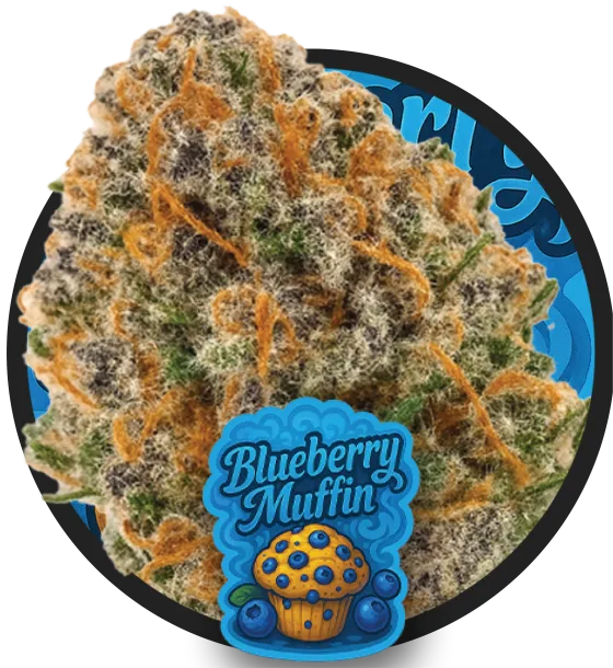 Blueberry Muffin artwork