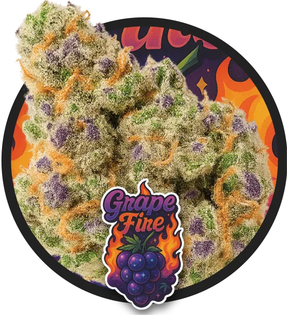 Grapefire Auto artwork