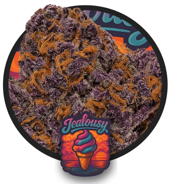 Jealousy Auto artwork