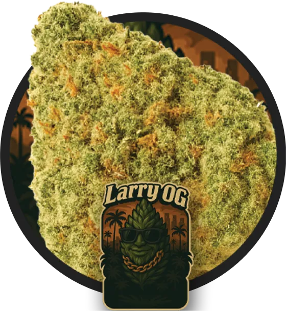 Larry OG Auto artwork
