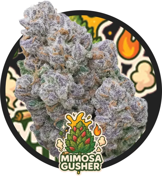 Mimosa Gusher artwork